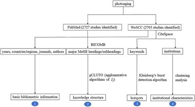 The landscape of photoaging: From bench to bedside in a bibliometric analysis